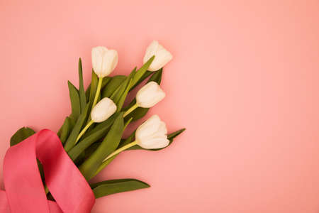 Tulip flowers postcardの写真素材