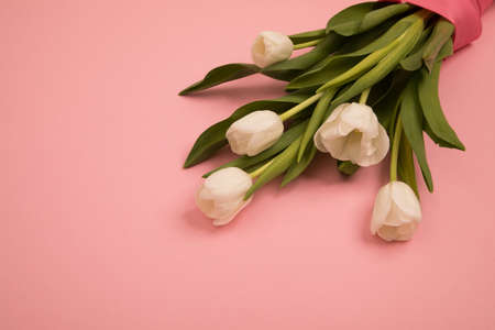 Tulip flowers postcardの写真素材