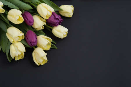 Tulip flowers postcard