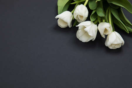 Tulip flowers postcardの写真素材