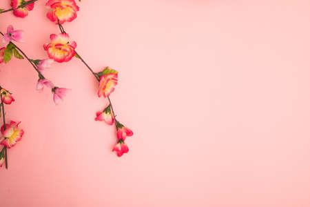 Floral card. Minimal style.の写真素材