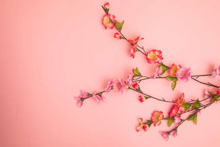 Floral card. Minimal style.の写真素材