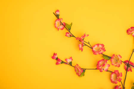 Floral card. Minimal style.の写真素材