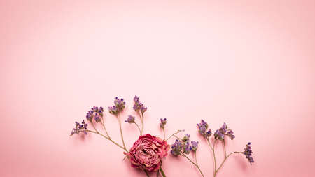 Card with dried flowersの写真素材