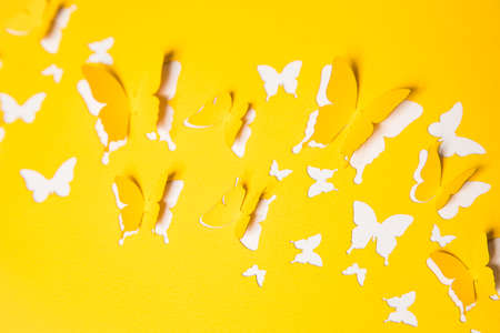 Beautiful paper butterfliesの写真素材