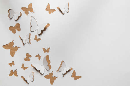 Beautiful paper butterfliesの写真素材