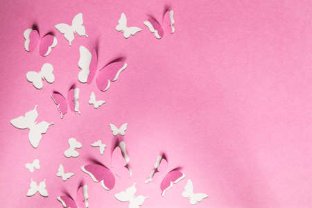 Beautiful paper butterfliesの写真素材
