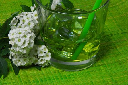 glass of mint with the iceの写真素材