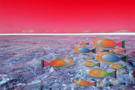 seabedの写真素材