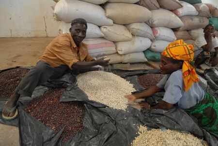 Malawi-April ,2007: a stock of seed in Malawi. the association ActionAid supports of seed collection will be stored in a warehouse for long periods of no harvest.のeditorial素材