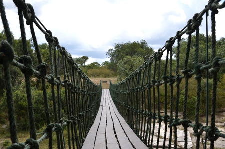 Bridge