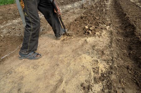 farmer working the land のeditorial素材