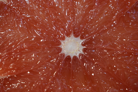 Grapefruit fruits background.の写真素材