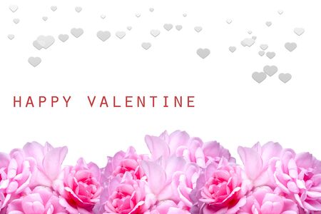 Valentine card with pink rose on white backgroundの写真素材