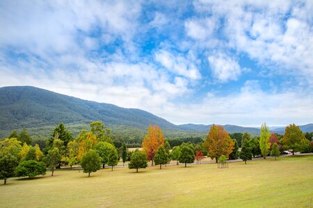 Landscape meadow scene with mountain viewの写真素材