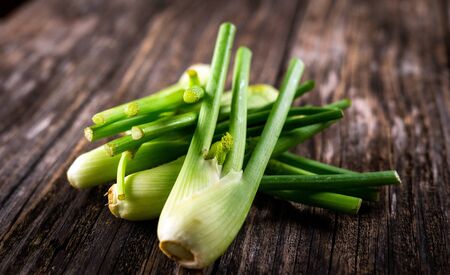 organic fennel on rustic wooden backgroundの写真素材