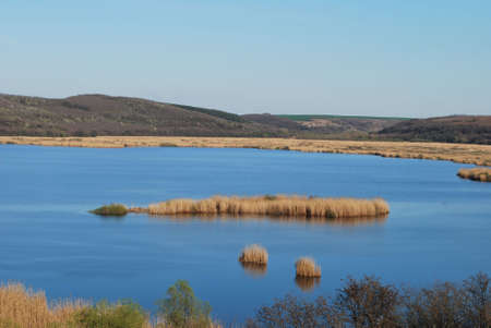 Srebarna forest reserveの写真素材