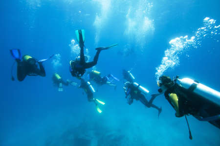 Group of divers in the Indian Oceanの写真素材