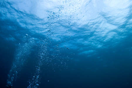 Bubbles from a scuba diver rising to the surfaceの写真素材