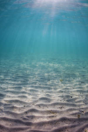 Sandy seabed in the Caribbean Seaの写真素材