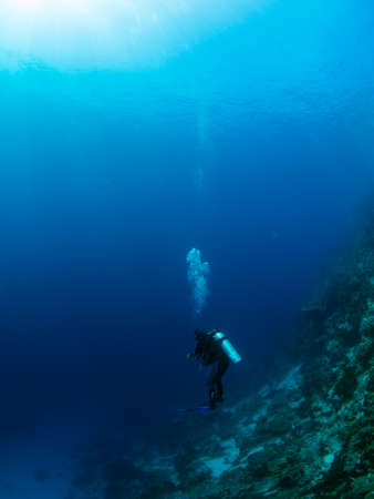 Single diver at a coral reef at Bunaken Island, Indonesiaの写真素材