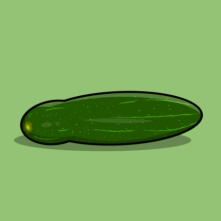 Eastern green large cucumber vectorのイラスト素材