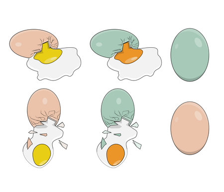 broken duck egg and chicken egg vector design in two stylesのイラスト素材