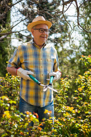 Senior man in his garden. He is going to trim the plants.の写真素材