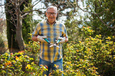 Senior man in his garden. He is going to trim the plants.の写真素材