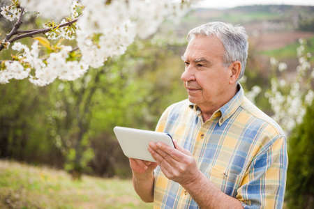 Senior man is checking tree blossom in his garden.の写真素材