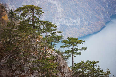 View from Tara mountain in Serbia, Europe. Drina river in the distance.の写真素材