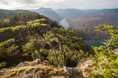 View from Tara mountain in Serbia, Europe. Drina river in the distance.の写真素材