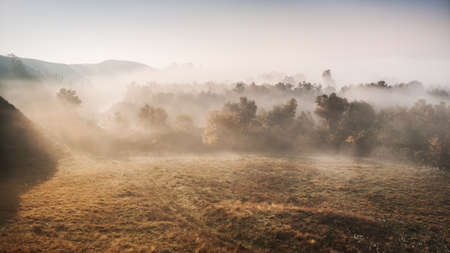 Mountain valley with early morning fog in autumn.の写真素材