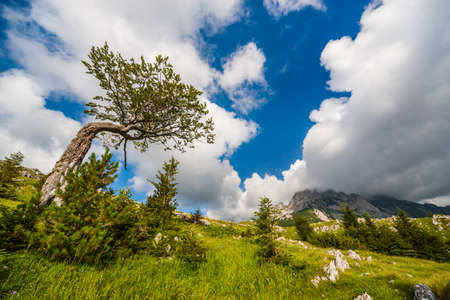 Mountain landscape on sunny day in summer.の写真素材