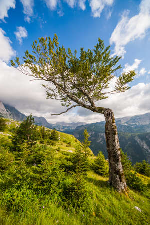Mountain landscape on sunny day in summer.の写真素材
