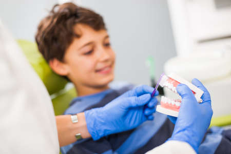 Dentist is teaching little boy about oral hygiene.の写真素材