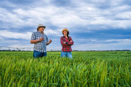 Proud two generations farmers are standing in their barley field and examining crops. Senior man is...