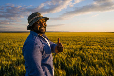 Farmer is standing in his growing wheat field. He is satisfied after successful sowing.の写真素材