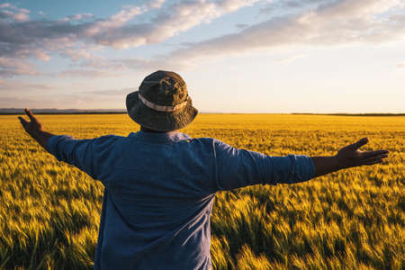 Farmer is standing in his growing wheat field. He is satisfied after successful sowing.