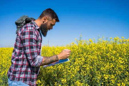 Farmer is standing in his blooming rapeseed field and examining the progress of crops.の写真素材