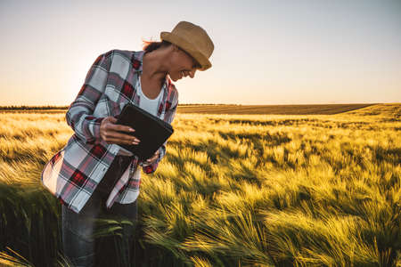 Adult woman is cultivating barley on her land. She is examining progress of crops.