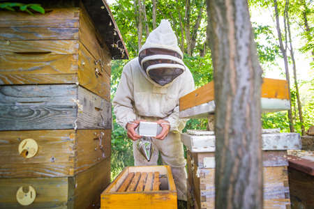 Beekeeper is examining his beehives in forest. Beekeeping professional occupation.