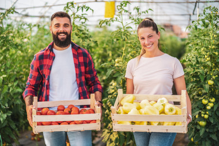 Organic greenhouse business. Family farmers are standing with basket of freshly picked tomatoes and bell pepper in their greenhouse.の写真素材