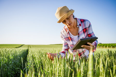 Woman is cultivating barley on his land. She is examining progress of crops.
