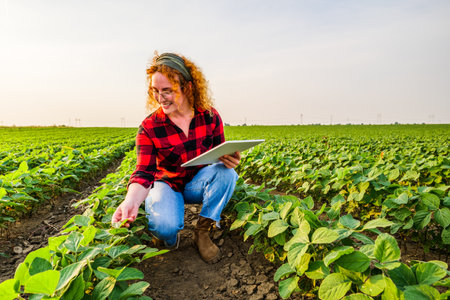 Portrait of female farmer who is cultivating soybean. She is satisfied with good progress of plants. Agricultural occupation.の写真素材