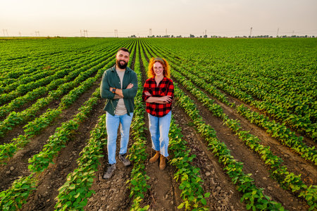 Family agricultural occupation. Man and woman are cultivating soybean. They are satisfied with good progress of plants.の写真素材