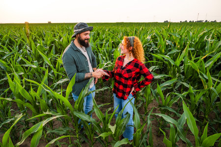 Family agricultural occupation. Man and woman are cultivating corn. They are satisfied with good progress of plants.の写真素材