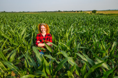 Portrait of cheerful female farmer who is cultivating corn. Agricultural occupation.の写真素材