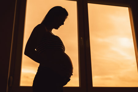 Pregnant woman standing beside window and holding her belly. Silhouette of pregnant woman.の写真素材