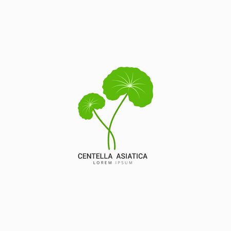Centella Asiatica icon logo vector design templateのイラスト素材